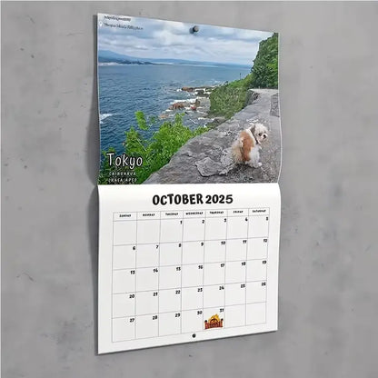 Funniest Calendar Of The Century|"Artistic Expression" Of Furry Friends